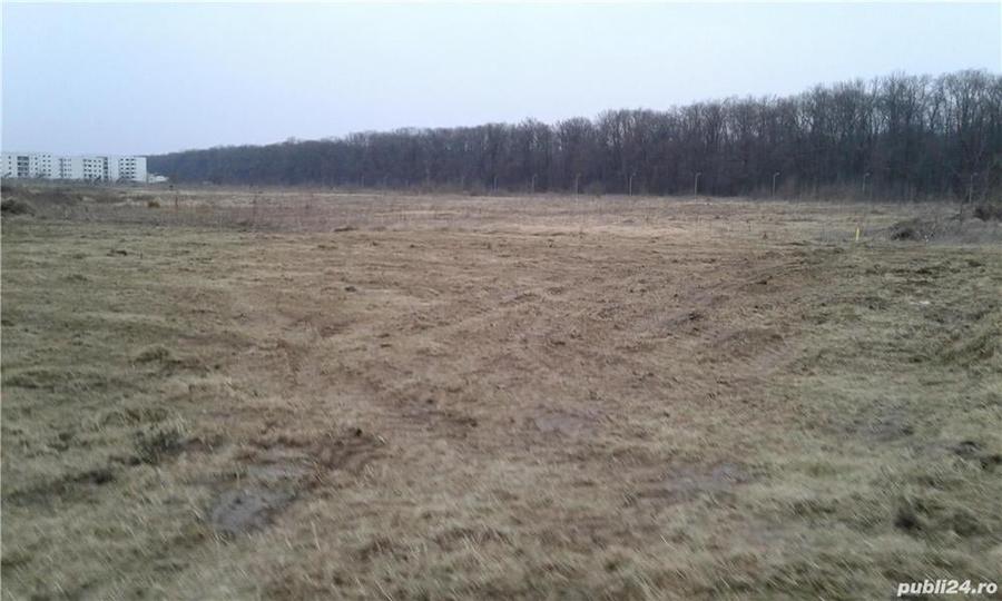 Teren de 1000 mp, în Băneasa