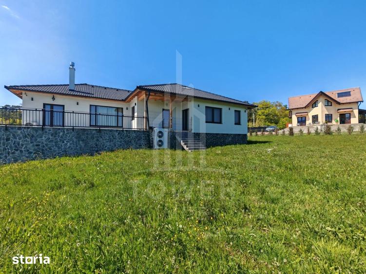 Casă cu 5 camere cu Piscina în Sadu