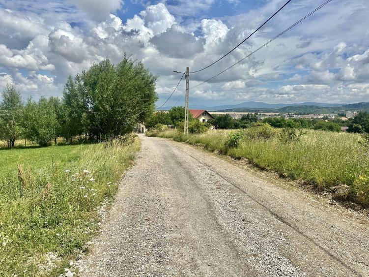 Teren Construcții intravilan de 3600 mp, în Poiana Angelescu