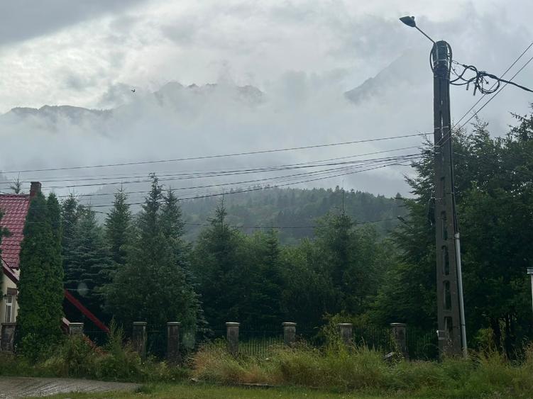 Teren Construcții intravilan de 1500 mp, în Zamora