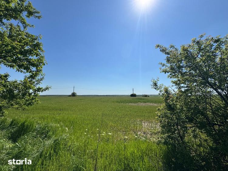Teren de 12500 mp, în Corbii Mari