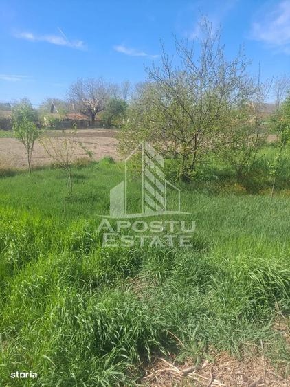 Casă cu 2 camere în Cruceni