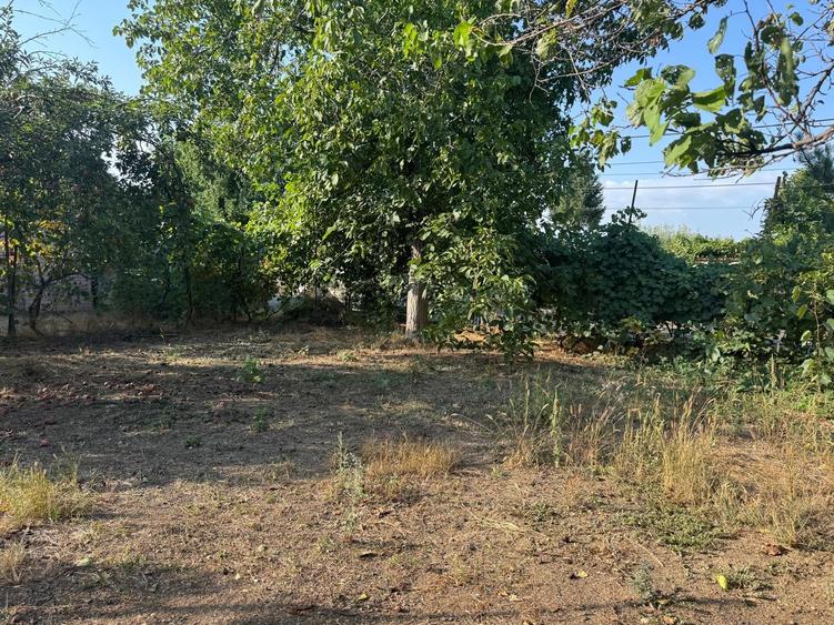 Teren Construcții intravilan de 1600 mp, în Mogoșoaia