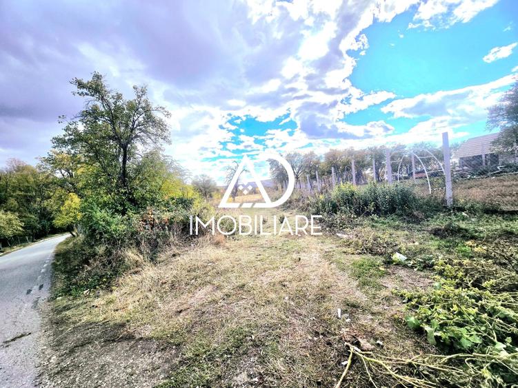 Teren intravilan de 2905 mp, în Bălănești