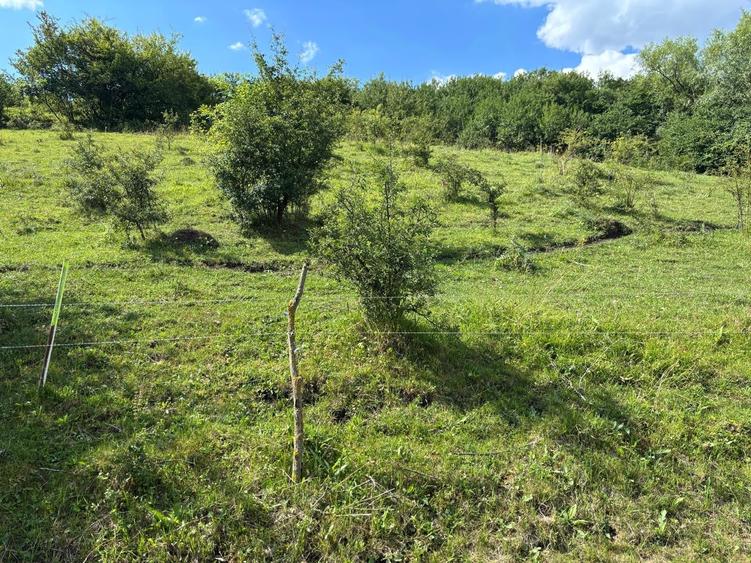 Teren agricol extravilan de 2200 mp, în Vlaha