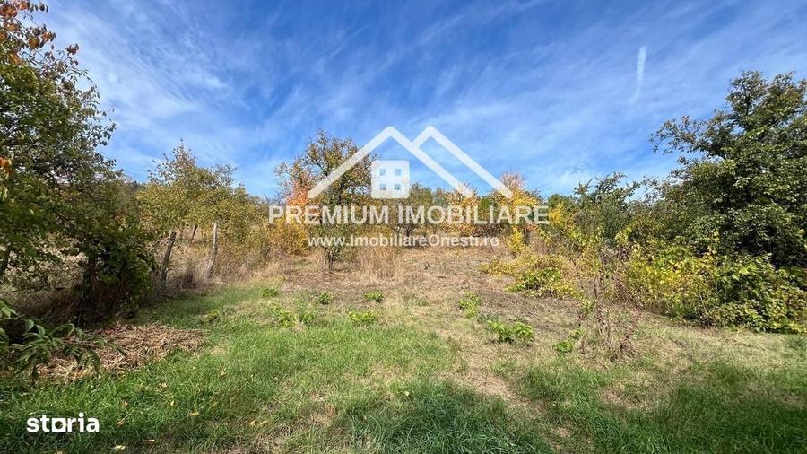 Casă cu 3 camere în Central