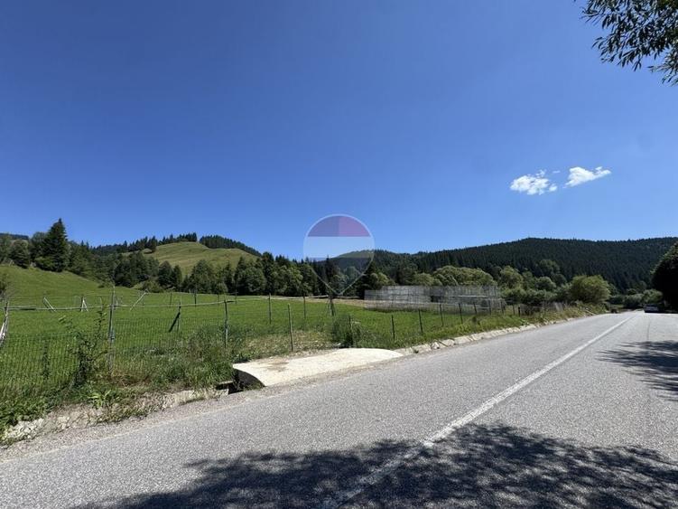 Teren Construcții intravilan de 7670 mp, în Borca