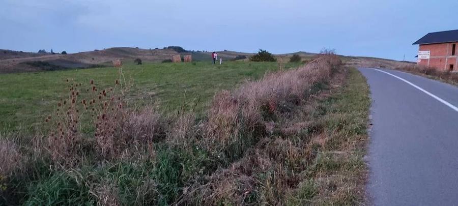 Teren agricol de 3000 mp, în Săliștea Nouă