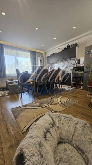 Apartament cu 2 camere semidecomandat în Florești