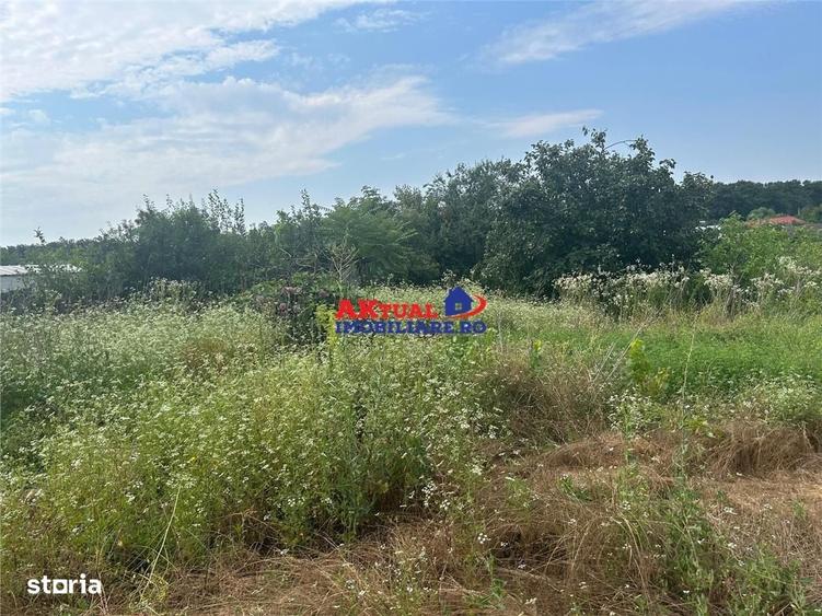 Spațiu comercial, în Mihai Bravu