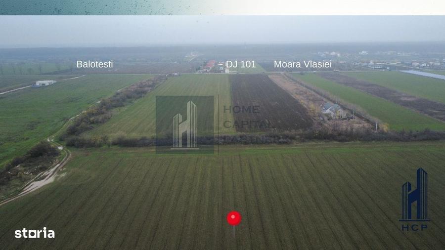 Teren de vanzare 10.000 mp | Caciulati, Moara Vlasiei | Balotesti - 1