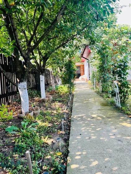 Casă cu 2 camere în Bălăceanca