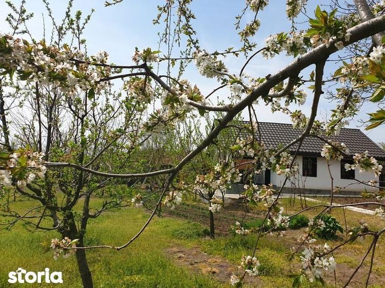 Casă cu 1 camere cu Teren 2000 Mp în Lăpuș Argeș