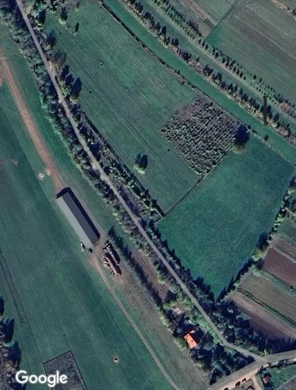 Teren de 6000 mp, în Colțești
