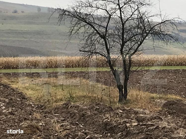 Casă cu 3 camere în Central