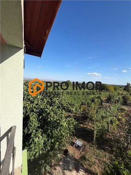 Casă individuală cu 4 camere cu Teren 4904 Mp în Cotești