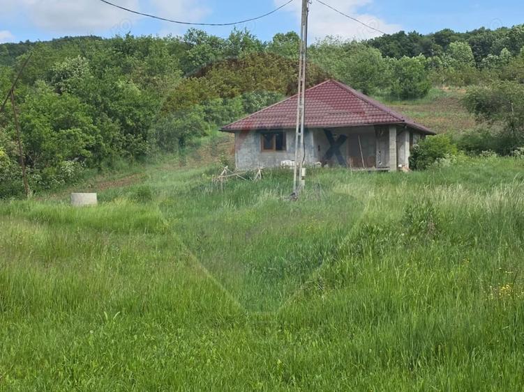 Casă cu Teren 4234 Mp în Deag