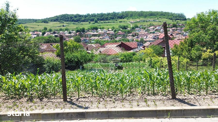 Teren de 1103 mp, în Terezian