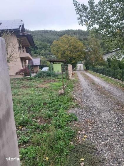 Teren de 2400 mp, în Vâlcea