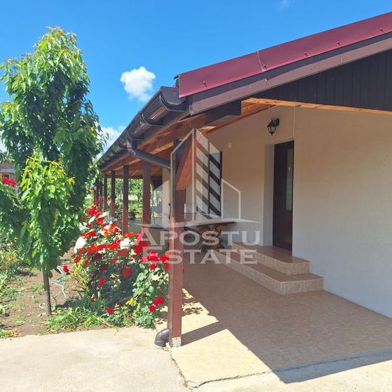 Casa individuala in Ianova,Comuna Remetea Mare - 10