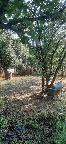 Casă cu Teren 1065 Mp în Domnești