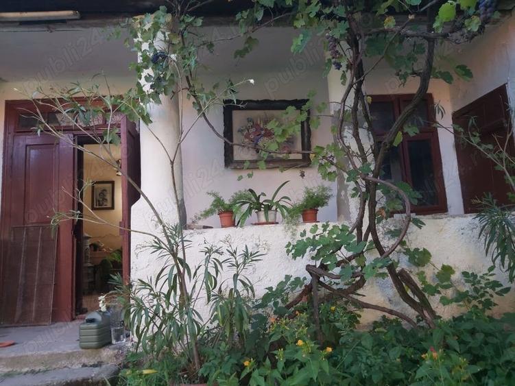 Casă cu 5 camere în Babșa