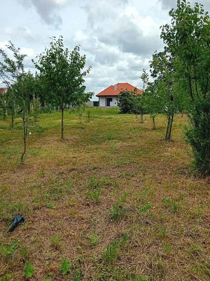 Casă în Berini