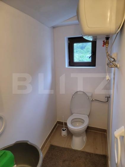 Casă individuală cu 5 camere cu Teren 48000 Mp în Glodghilești