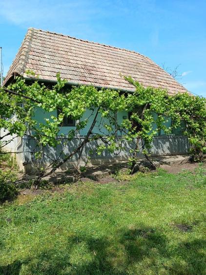 Casă cu 2 camere în Tritenii de Sus