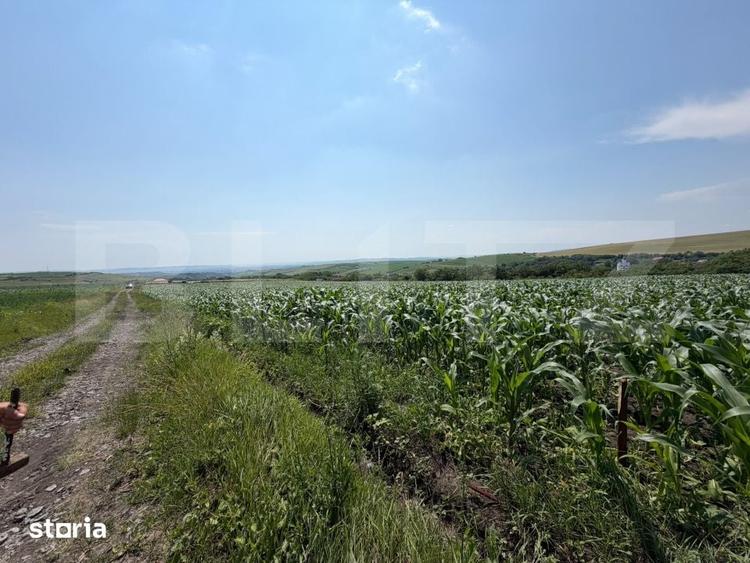 Teren de 1900 mp, în Săndulești