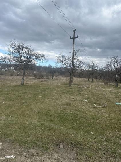 Spațiu comercial, în Voila