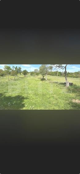 Teren Construcții intravilan de 1994 mp, în Ormindea