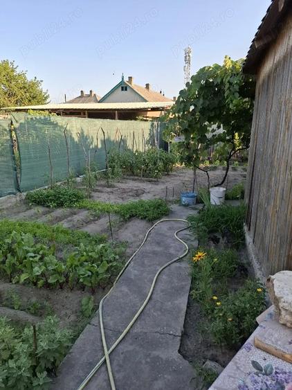Teren de 50000 mp, în Murighiol