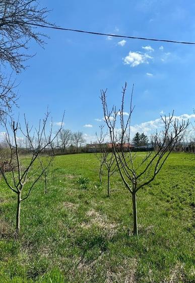 Teren de 4500 mp, în Sofronești