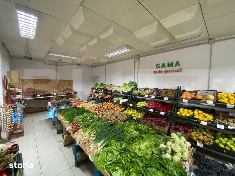 Spațiu comercial, de 145 mp, în Craiovița Nouă