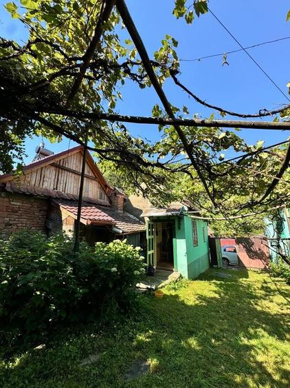 Casă cu 3 camere în Gura Râului