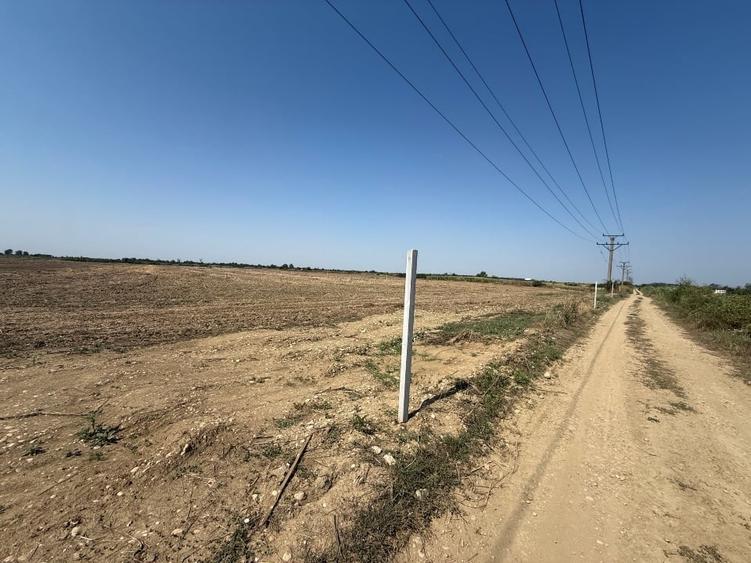 Teren agricol extravilan de 30000 mp, în Uliești