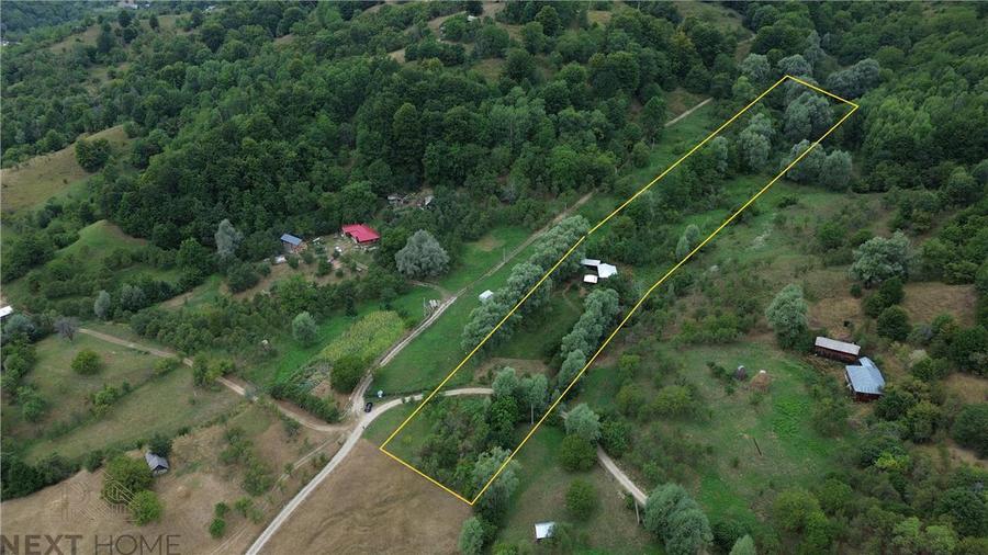 Casă cu 3 camere cu Teren 5913 Mp în Paltin
