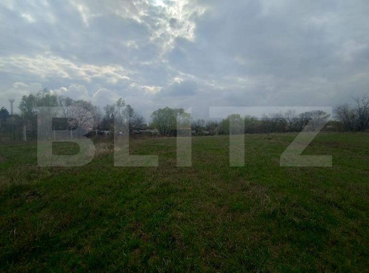 Teren intravilan industrial, Centura de Nord, 2.1 ha, deschidere 41m - 3