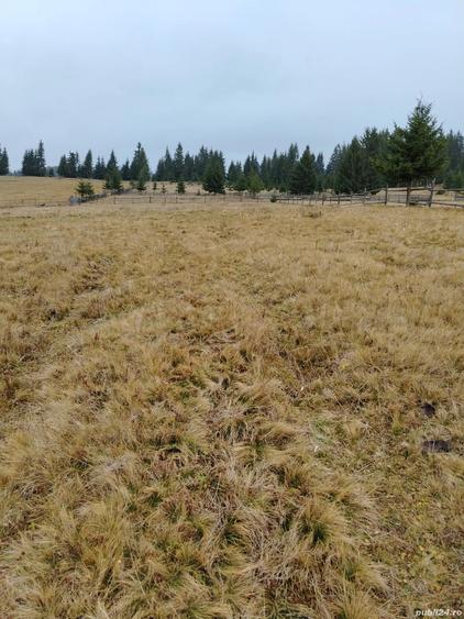 Teren de 4949 mp, în Panaci