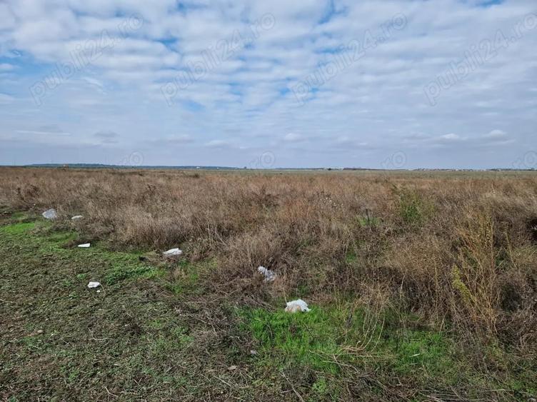 Teren de 615 mp, în Clinceni