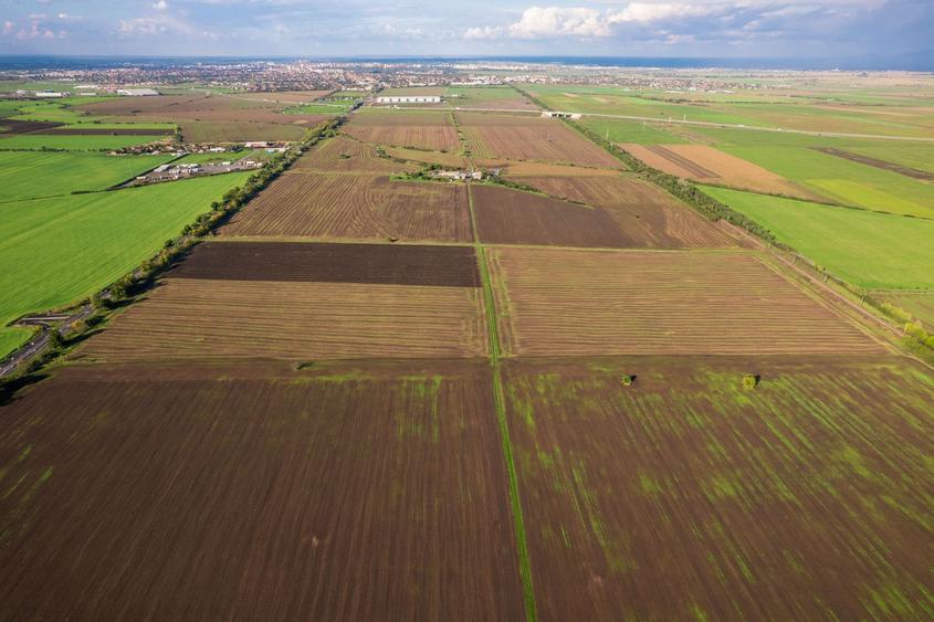 Teren agricol extravilan de 100000 mp, în Sud