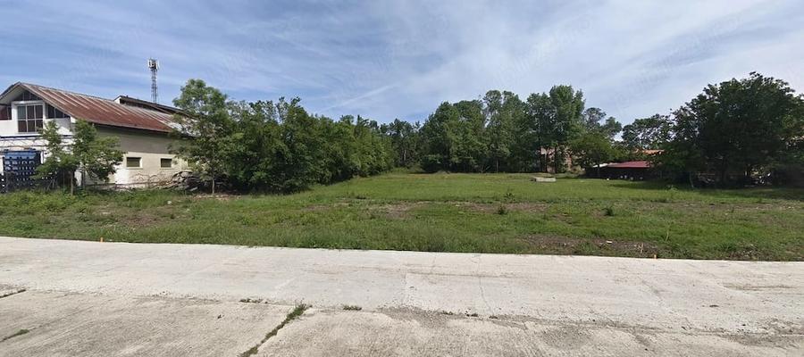 Teren de 3500 mp, în Sacoșu Turcesc