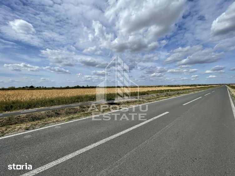 Teren de 55000 mp, în Central