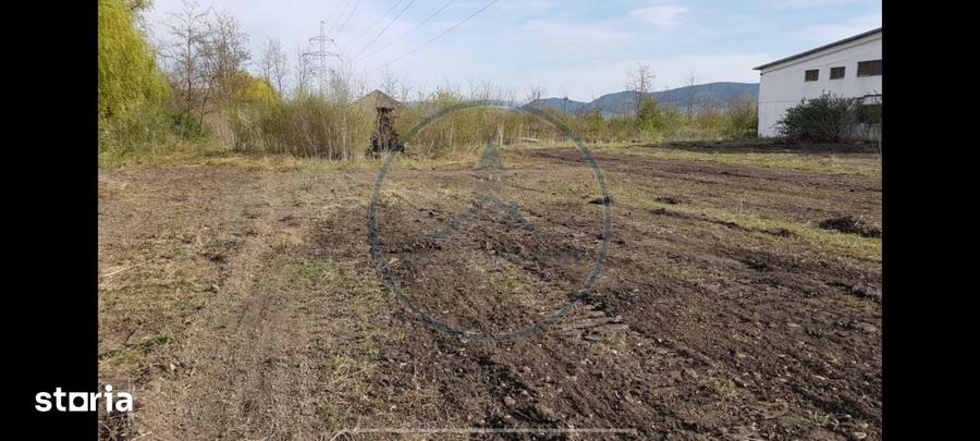 Teren de 6500 mp, în Șieu