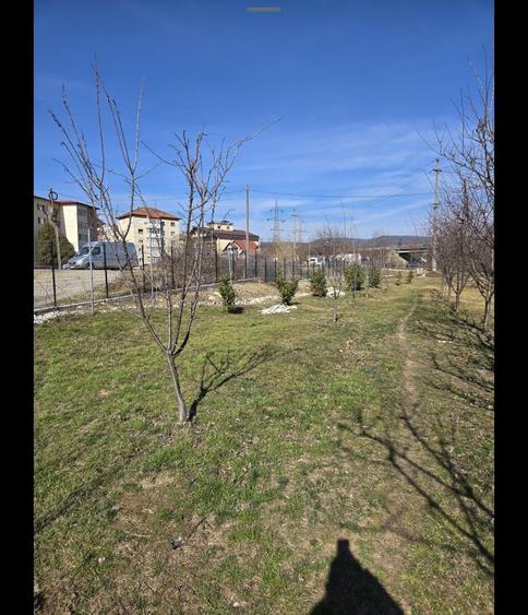 Spațiu comercial, în Nicolae Bălcescu