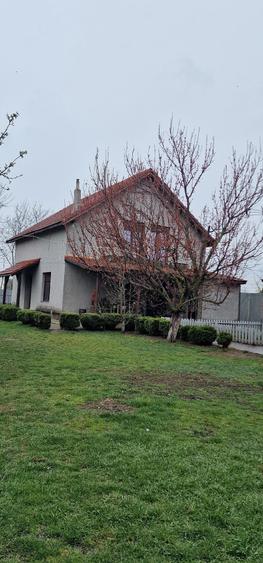 Casă cu Teren 3000 Mp în Rudna