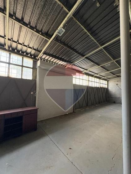 Spațiu industrial, de 437.29998779297 mp, în Doamna Ghica