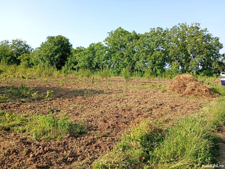 teren constructii - 1