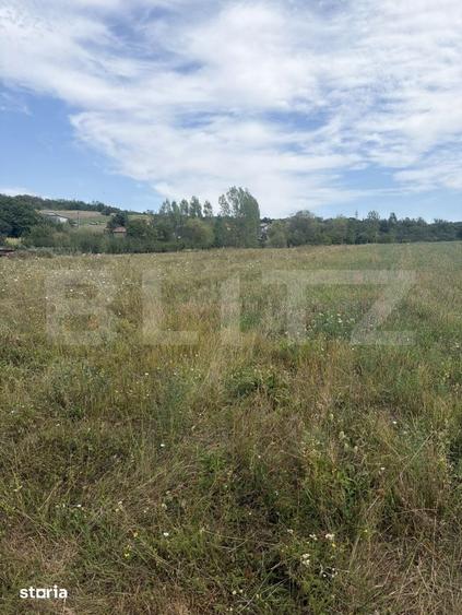 Teren de 22183 mp, în Dobrin